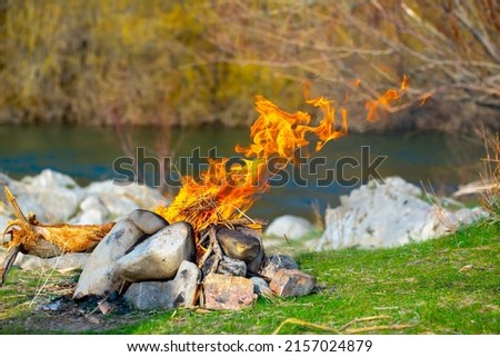 Bred bonfire in nature from camellias and branches. Flames of fire on the background of the forest and the river. Fire close-up. Forest fires, burning trees. Picnic, food at the stake.