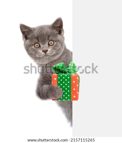 Cat holds gift box and looks from behind empty white banner. isolated on white background