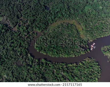 Drone photography of the Amazon River. Nature and vegetation.