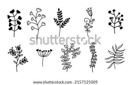 Set of cute floral elements. Hand drawn branch herb and flowers with elegant leaves for invitation, save the date card, sticker, logo design.
