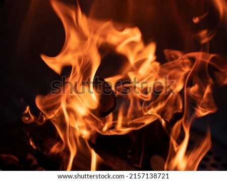 Outdoor bonfire. Close-up fire, flames, ember and burning log of wood. Tranquil scene and leisure activity with family and friends.  