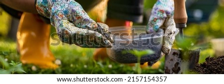 Eco friendly gardening banner. Woman preparing soil for planting, fertilizing with compressed chicken manure pellets. Organic soil fertiliser. Royalty-Free Stock Photo #2157154357