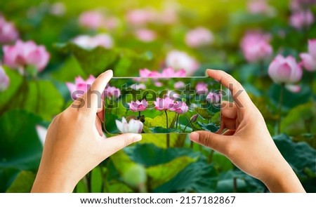 Girl Hands holding mobile phone and take a photo colorful lotus flowers on blurred background with sunlight.
