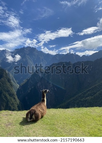Macchu Picchu in Peru with llamas Royalty-Free Stock Photo #2157190663