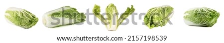 Chinese or Beijing kale on a white background. Close up.