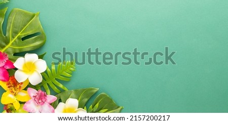Summer background with tropical orchid flowers and green tropical palm leaves on green background. Flat lay, top view. Summer party backdrop. Royalty-Free Stock Photo #2157200217