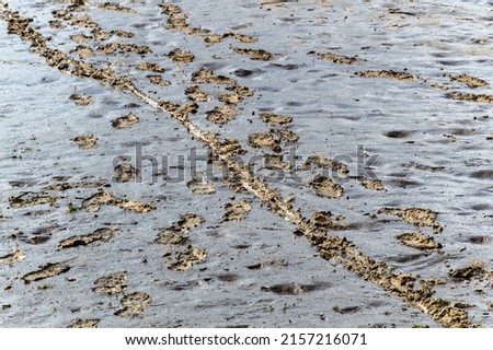 footprints on the dirt. High quality photo
