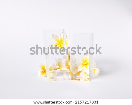Closeup shot of glass prism reflecting the flowers behind of them