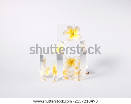 Closeup shot of glass prism reflecting the flowers behind of them