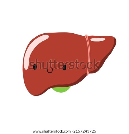 Liver cartoon character. Healthy liver. Stock vector cartoon illustration on a white background.