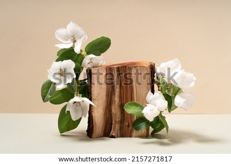 Composition empty podium material tree stone dry flowers. Product presentation. Background beige. Beautiful background from natural materials