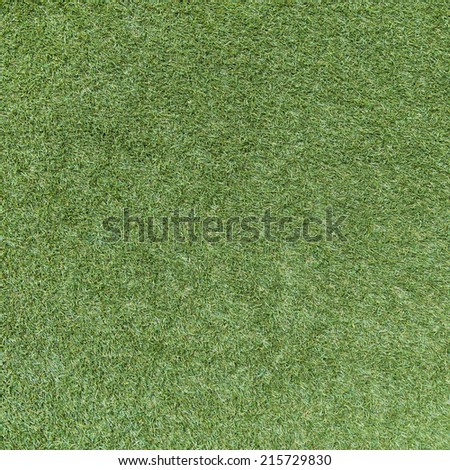 Green grass soccer field texture and background