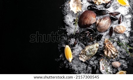 Raw Clams vongole shells, mussels, oysters and lemon with ice on black slate. Fresh shellfish for cooking with seasonings on the table, top view and copy space Royalty-Free Stock Photo #2157300545