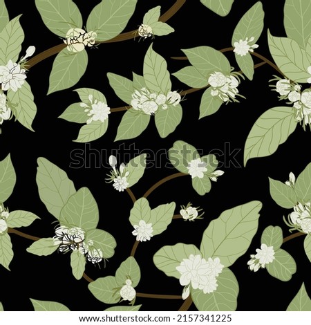 White jasmine vines with cute green leaves and black background perfect for fabric, wallpapers, paper, background and other uses. Royalty-Free Stock Photo #2157341225