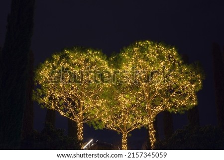 Three bright green conifers decorated with luminous garlands form a heart shape against the background of the night sky.
