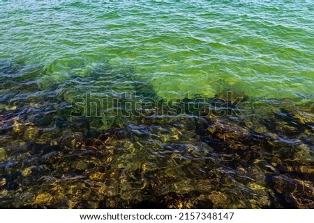 Calm seashore with rocks seen through the green sea water
