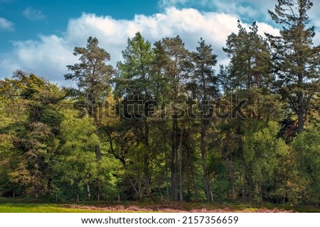 A deciduous forest is a biome dominated by deciduous trees which lose their leaves seasonally. Another name for these forests is broad-leaf forests because of the wide, flat leaves on the trees  Royalty-Free Stock Photo #2157356659