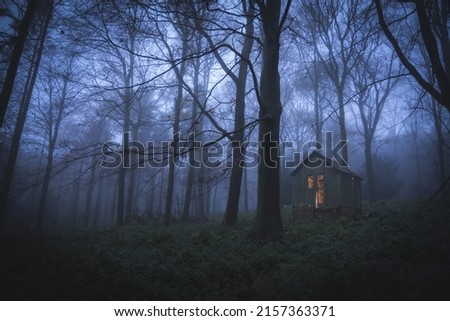 a photo of night forest with small house in it
