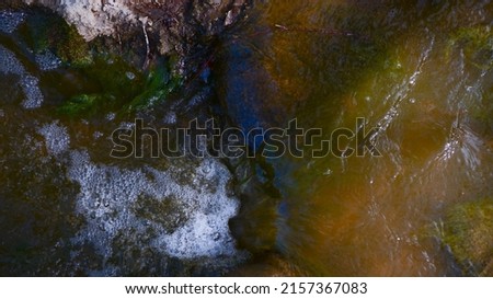 Beautiful Flowing Bubbly and Swampy River 