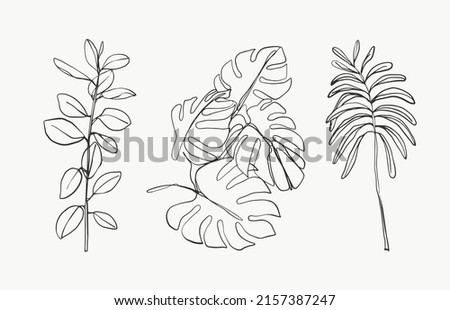 Tropical palm monstera line leaves and botanical leaves art. beautiful hand drawn exotic plants on white background. abstract modern or minimal plants line for posters. vector design.