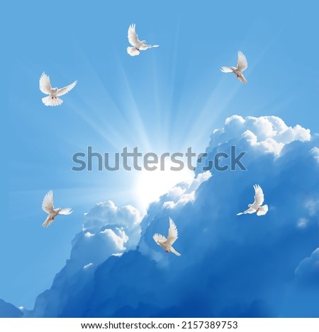 Beautiful Sky Blue And Clouds Ceiling Decor Design Modern