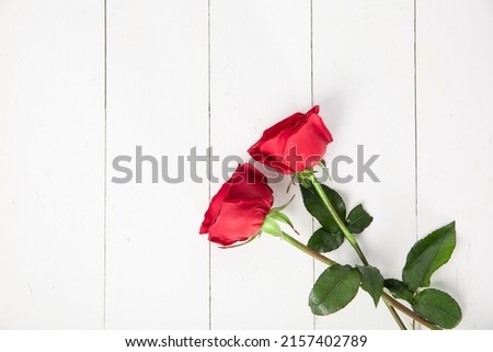 A top view of two red roses isolated on a white background