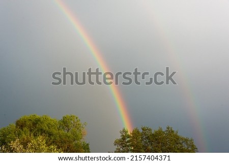 Double rainbow over the trees.