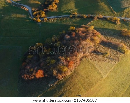 An aerial shot of a beautiful forest on a sunny day