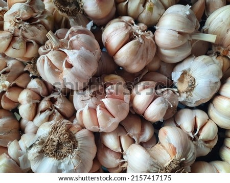 A picture of garlic nearby.