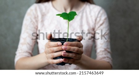 The girl is holding a black pot with a green plant on a dark background. Seedlings of cucumbers in a pot, ready for planting in the ground. Environmental protection. Respect for nature