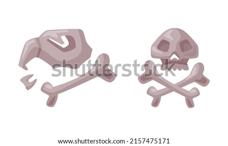 Skull and cross bones, witchcraft attributes cartoon vector illustration