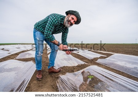 Happy farmer using digital tablet while standing in his growing  lettuce field.