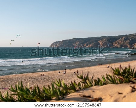 A shot of families enjoying their time on the beach, surfing and flying