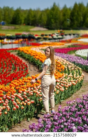 A girl in a white dress runs among the tulips. Field with yellow and red tulips.