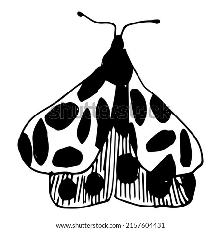 vector illustrations of insects, butterflies and flowers.