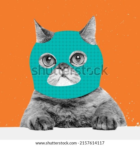 Sweetness. Creative portrait of cute cat wearing drawn balaclava isolated on bright neon background. Inspirative art, pets, animal, humor and fashion concept. Contemporary art collage