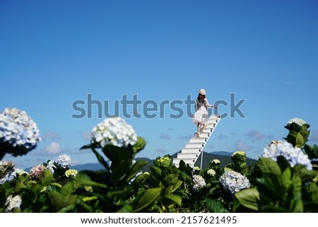 Young woman traveler enjoying with blooming hydrangeas in Dalat, Vietnam, Travel lifestyle concept Royalty-Free Stock Photo #2157621495