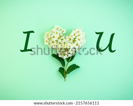 White spring flowers in a heart shape with I LOVE YOU letters on pastel mint green background. Natural minimal concept. Creative spring idea. Love design. Flat lay. Valentines idea.