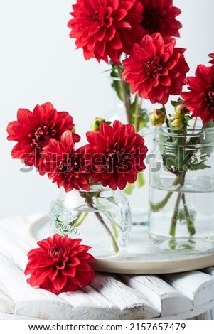 Red amazing flowers dahlias on the wooden table, selective focus image