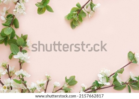 Apple flowers on pink paper background. Pastel colors. Flat lay, top view. Spring flowers with green leaves. Floral pattern. Creative trend composition. Layout with blooming fruit tree. Greeting Card.