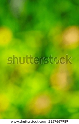 Green bokeh blurred abstract background