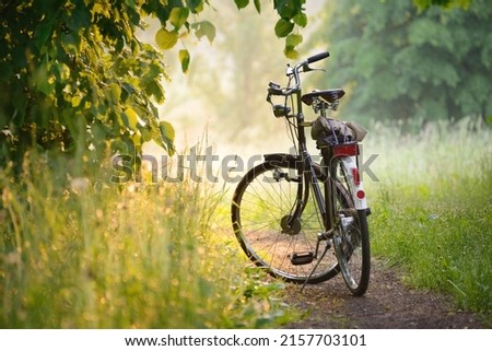 Bicycle parked on a forest road at sunrise. Soft sunlight, sunbeams, fog. Idyllic rural scene. Leisure activity, recreation. ecotourism, hiking. sport, cycling, healthy lifestyle, exploring concepts Royalty-Free Stock Photo #2157703101