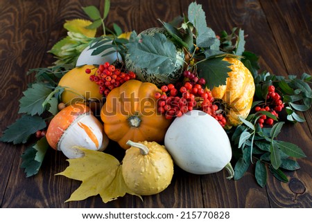 Autumn still life of pumpkins