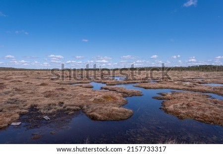 Spring landscape in the swamp. small swamp lakes, mosses and pines. small islands of swamp water. Spring marsch Landscape. Small Lake with Swamp Islands Royalty-Free Stock Photo #2157733317