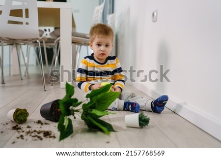 one caucasian boy making mess in the house playing and mischief with bad behavior flower pot damaged on the floor naughty kid at home childhood and growing up misbehavior concept Royalty-Free Stock Photo #2157768569