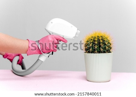 A cactus in a light green pot with yellow needles stands on a pink table, a laser hair removal device is aimed at it, the nozzle body on a gray background. Hair removal, joke, laser epilation, fun  Royalty-Free Stock Photo #2157840011