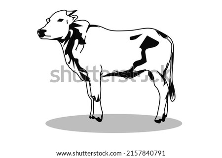 illustration of farm animals. Cows, large horned animals that can be processed into meat