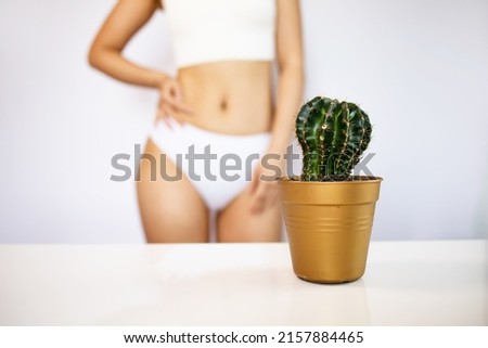 The girl holds a large cactus in the groin or bikini area. The concept of intimate hygiene, epilation and depilation, deep bikini shaving