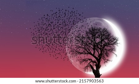 Silhouette of birds with lone dead tree and new moon against amazing sunset "Elements of this image furnished by NASA" Royalty-Free Stock Photo #2157903563