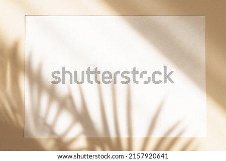 Invitation card mockup with shadow of palm leaves on beige pastel background. Top view, flat lay, copy space. Template blank of white paper mock up for branding and advertising
